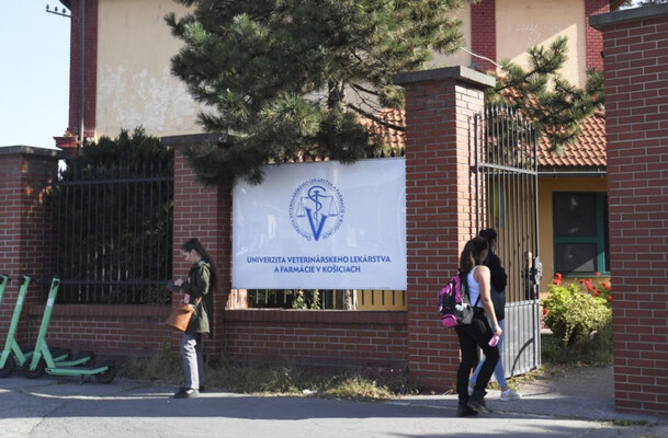 Університет ветеринарної медицини та фармацевтики в Кошице