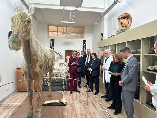 Університет ветеринарної медицини та фармацевтики в Кошице